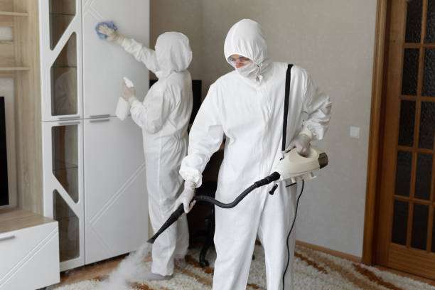 Affordable Sewage Cleanup solutions in Fairfax, IA